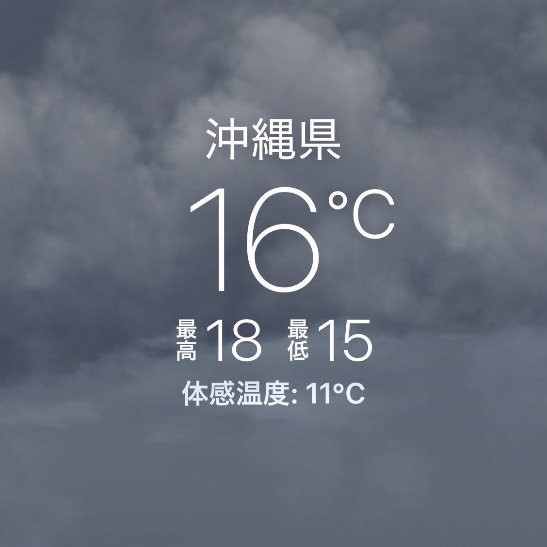 寒すぎる…ガタガタ:(；ﾞﾟ'ωﾟ'):
ムーチー（餅）の日って、毎年寒い気がする

太陽の温かさが欲しい