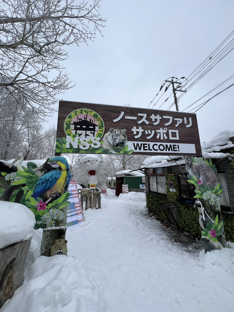 MKNZWH1992's tweet photo. 1人でノースサファリサッポロ行ってきた。

この猿名前忘れたけど、可愛すぎ https://t.co/fszuN8RVe3