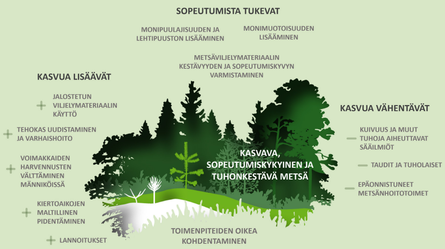 Tutkijoiden suosituksilla lisää kasvua metsiin ja vähemmän hiilipäästöjä maaperästä. Synteesiraportti: 
jukuri.luke.fi/handle/10024/5…
Aikaa tarvitaan, mutta jos nyt laitetaan toimeksi, niin lisäkasvua luvassa 10 milj. m3/vuodessa 20-30 v. kuluttua eli +10 % lisää nykyiseen!