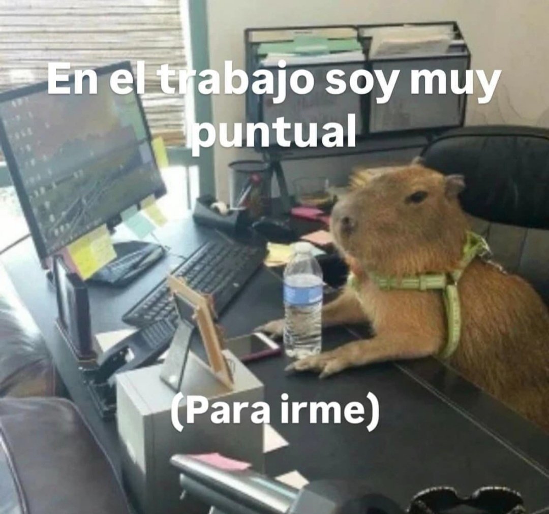 En Júpiter (@en_jupiter_) on Twitter photo 