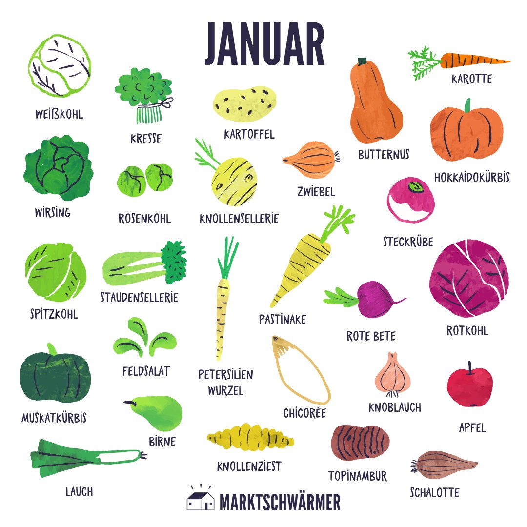 Der Januar hält eine tolle Auswahl an regionalem Wintergemüse für dich bereit.🌱 Frisch vom Feld gibt es diesen Monat Lauch, Grünkohl, Rosenkohl und Pastinaken – perfekt für eine vitaminreiche Stärkung in der kalten Jahreszeit!😉