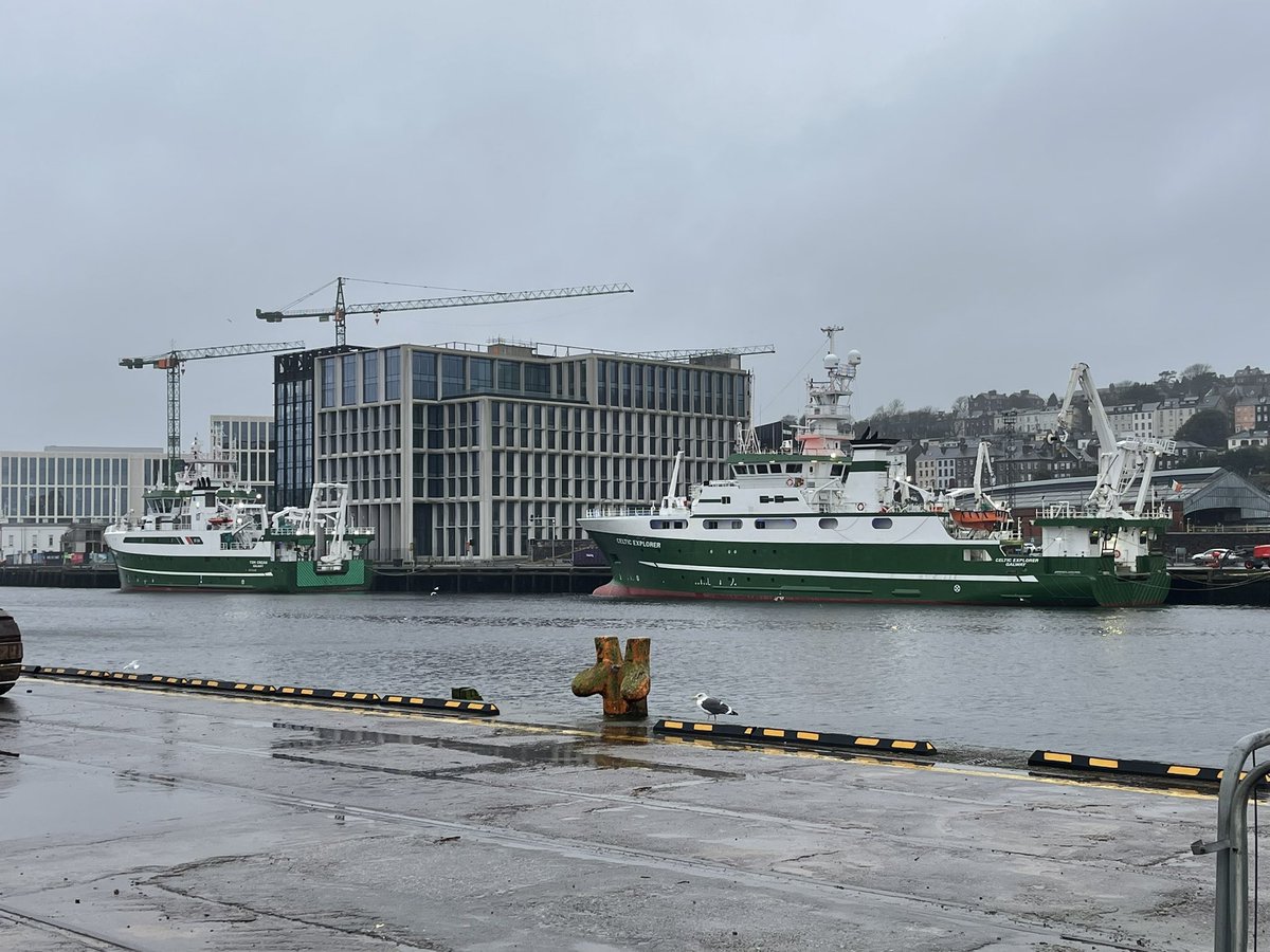 CatherineE_Barrett tweet media