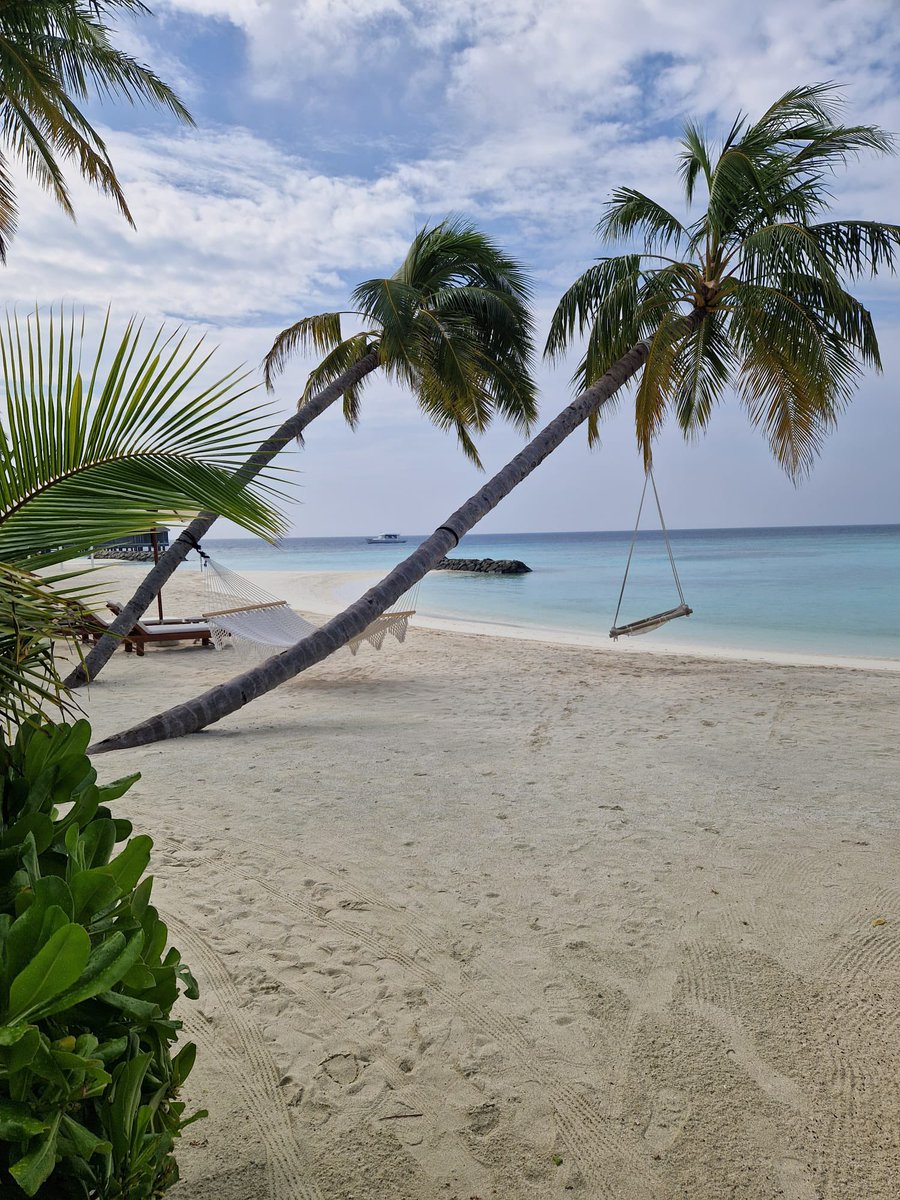 Eleanor Watson tweet media