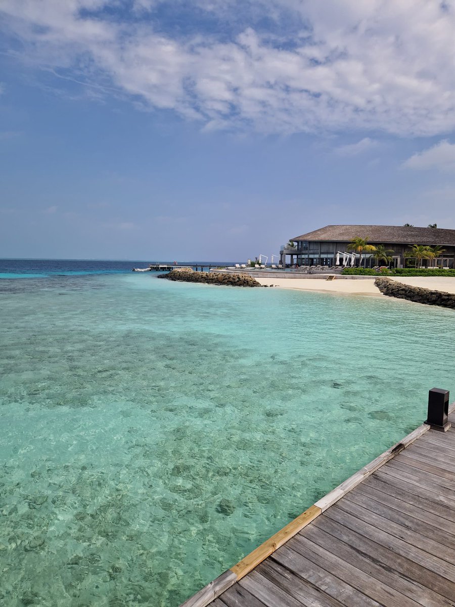 Eleanor Watson tweet media