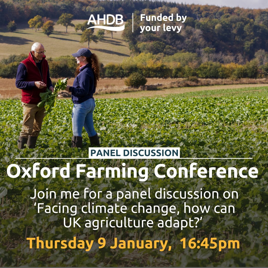 Pete Falloon tweet media