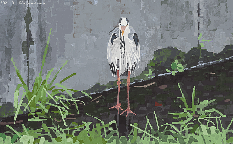 「アオサギ… 」|junkumaのイラスト