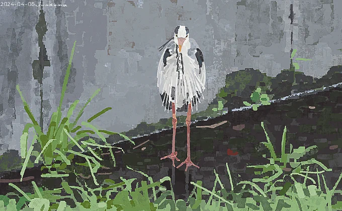 アオサギ… 