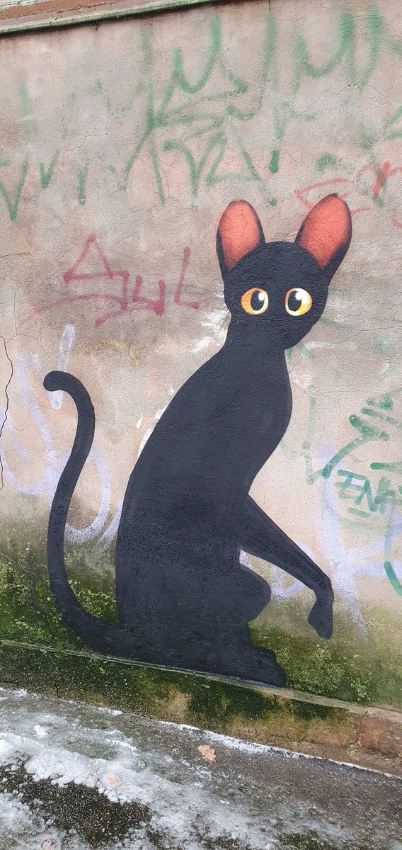 Indra Borkus tweet media