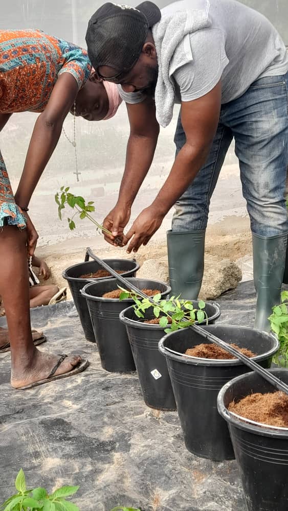 TechsheltaI's tweet image. The key to mastery is constant practice.

Our trainees having a practical session on transplanting of seedlings.

#TSTI #training #learning #practicals #mastery #farming #agriculture #greenhouse #homegardening #seedlings