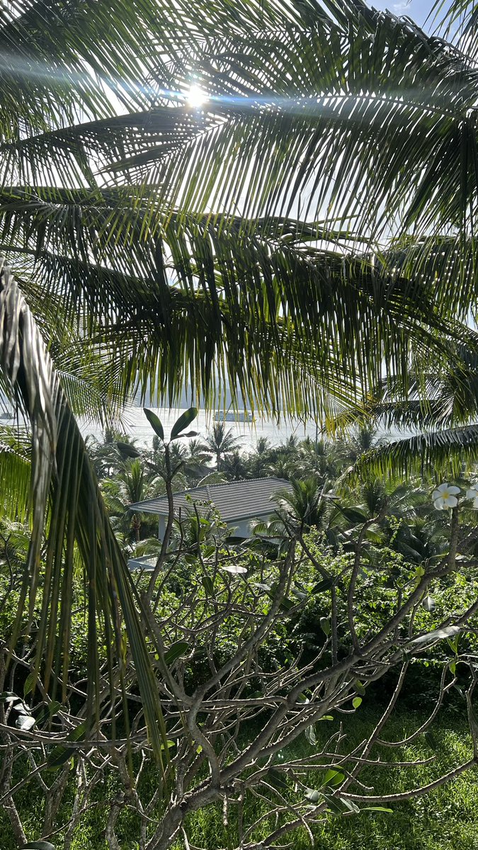 Small_o's tweet image. Nha Trang