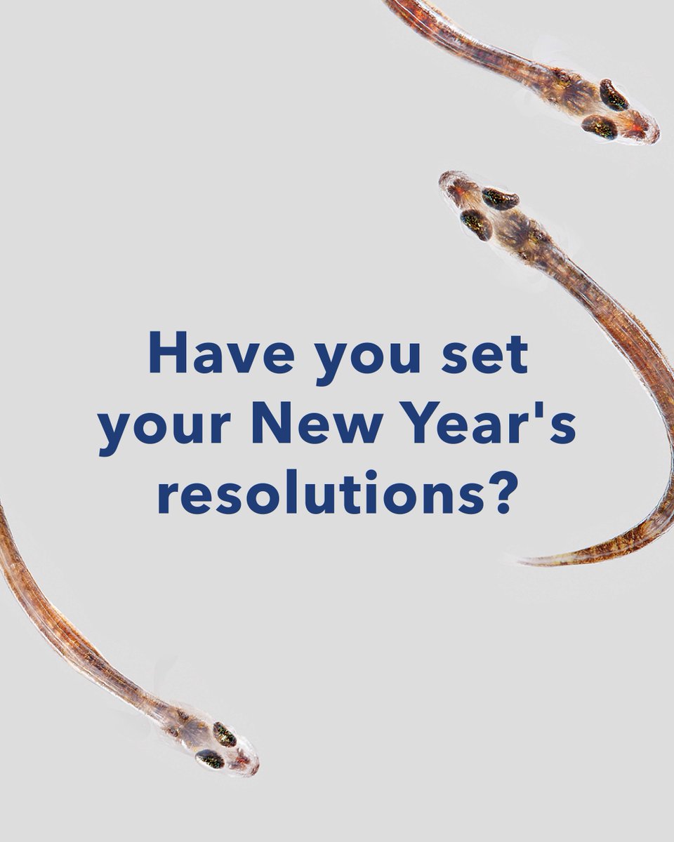 BioMar Group tweet media