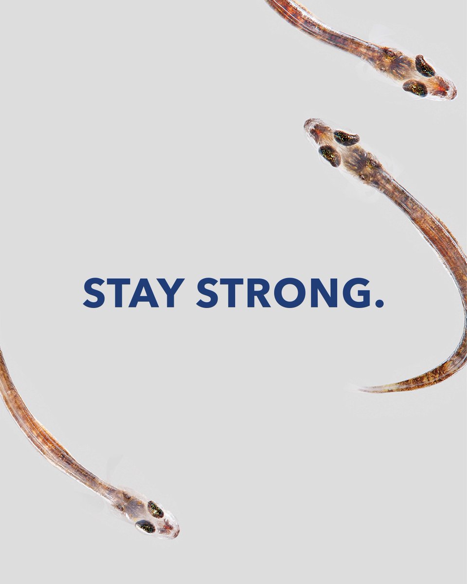 BioMar Group tweet media