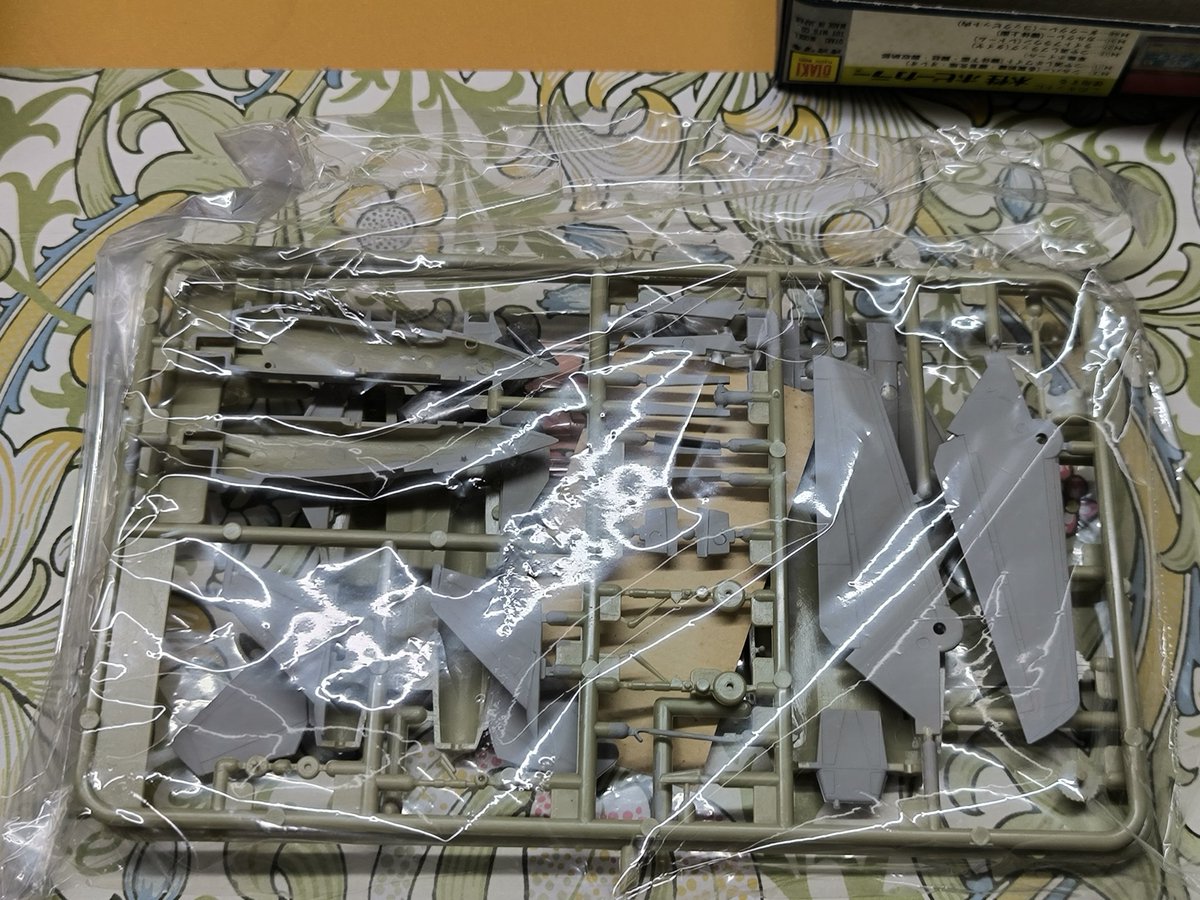 2025年最初のプラモデル今は無いオオタキさんのF14トムキャットを中古屋さんで購入しました。