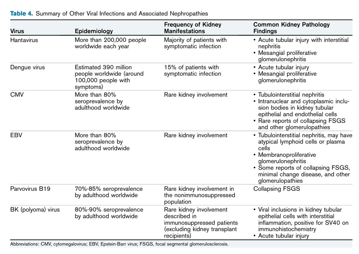 hardik4u24's tweet photo. Viral infections 🦠 leave a distinct imprint on the kidneys 🫘
From HBV to SARS-CoV-2, dive into the world of #ViralNephropathies with these tables
Core Curriculum by @amyaimei et al
🔗🆓https://t.co/Vup5b26Oqt
#viruses #FSGS #ATI #MPGN #MN #TMA #Nephrology #MedTwitter #AJKD https://t.co/EBN4QPc0S6