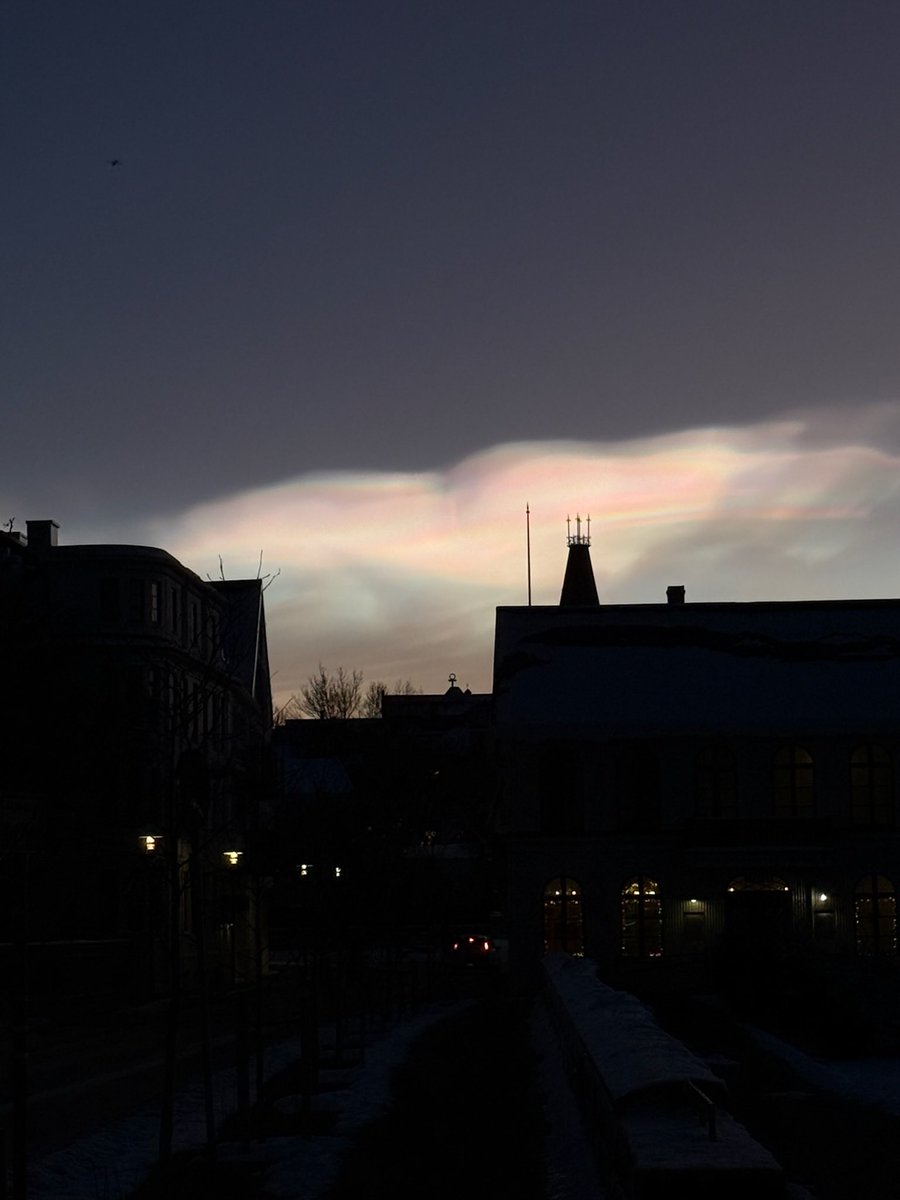 As bucket list adventures go, beautiful Iceland certainly delivered for us 🇮🇸
Stunning landscapes 
Rare stratospheric cloud 
Mind blowing aurora borealis 
Amazing thermal pool swimming
Incredibly tasty food 
Redwings/whoopers/eider/gulls a plenty 

What a way to start the 50th 🥳
