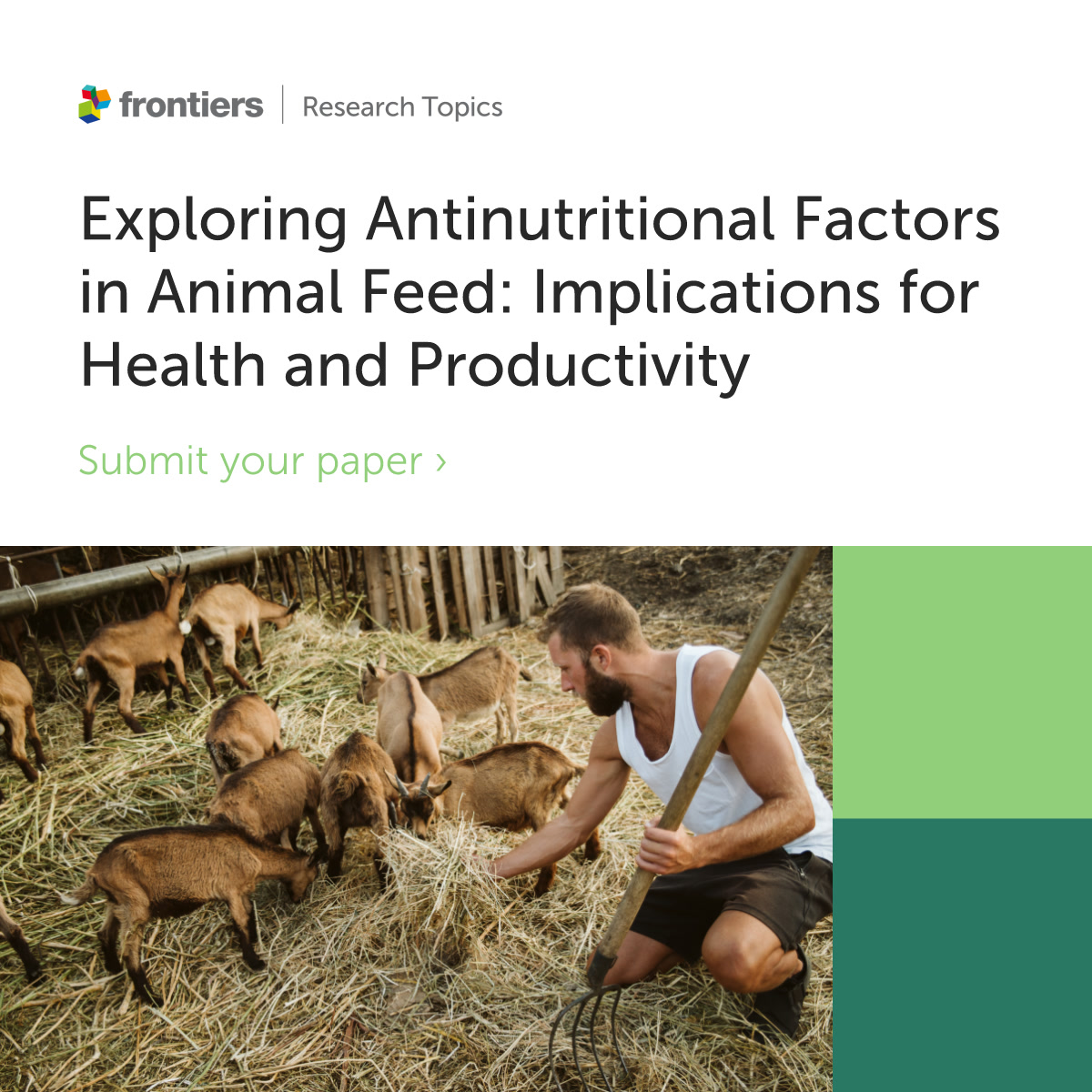 FrontVetScience's tweet image. 🚨 Deadline approaching!

📅 10 January 2025

📖 Last days to submit your manuscript to our Research Topic on "Exploring Antinutritional Factors in Animal Feed: Implications for Health and Productivity".
#research #Veterinarians 

Find out more 👉fro.ntiers.in/59250