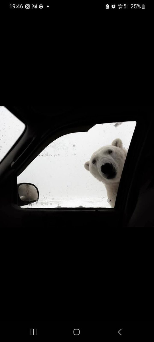smyth_hugh's tweet photo. Not saying it’s colder here but …… https://t.co/edSRqwT8jG