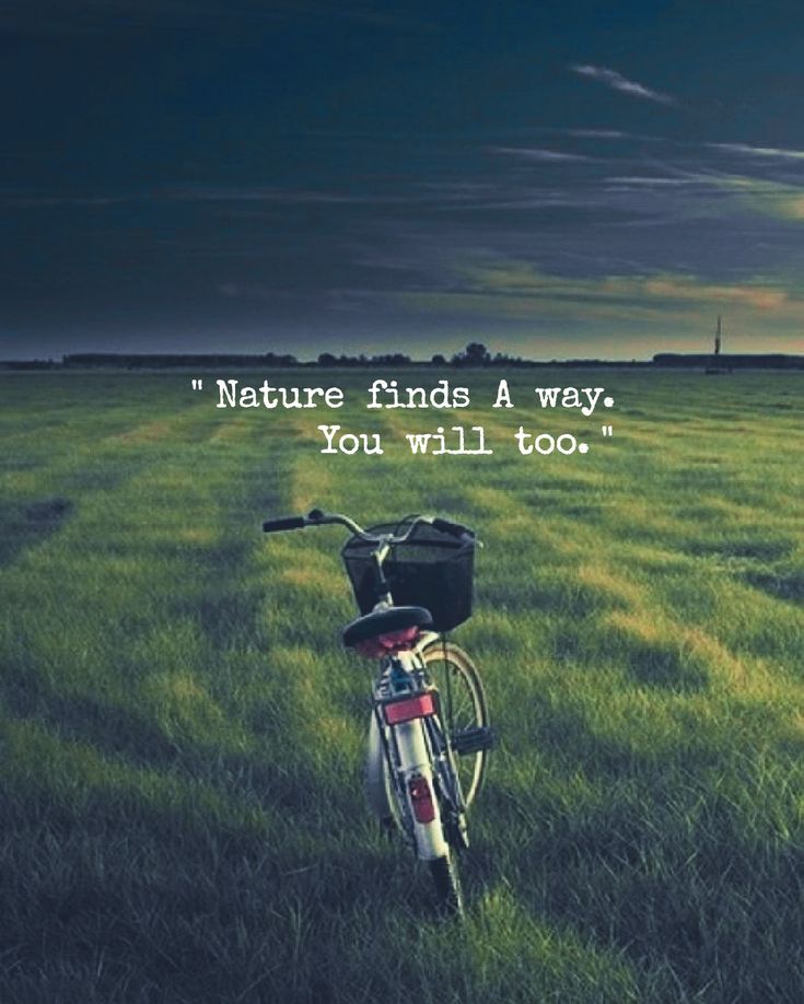 Nature finds a way. 
You will too.