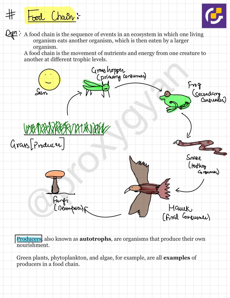ProxyGyan's tweet photo. ▪️Food Chain

- Static portion is very important in Environment and Ecology,
But you can’t spend unnecessary time in outdated and bulky materials.

👉We are launching soon environment and economy - static portion module under 150 pages. https://t.co/Vf5tnCIrWa