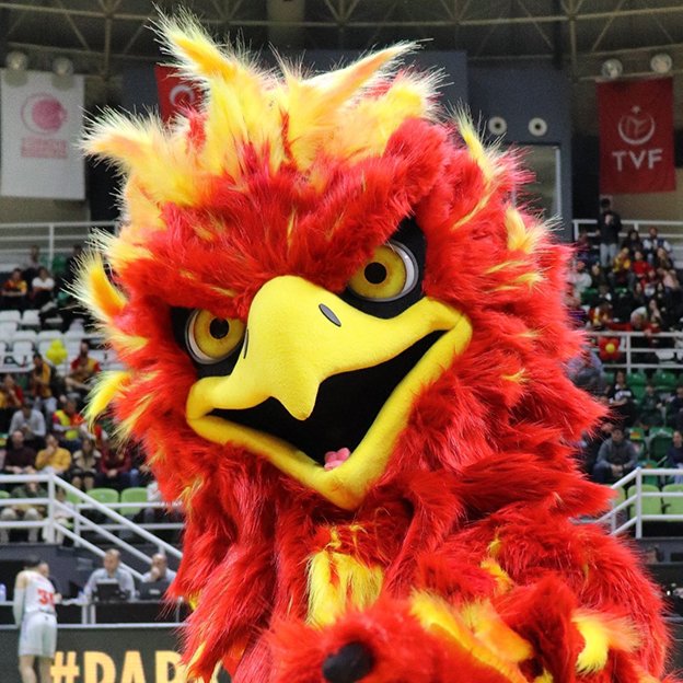 Göztepe'nin yeni basketbol maskotu K'ANKA, ilk maçında çıkan olaylara karışarak gözaltına alındı.