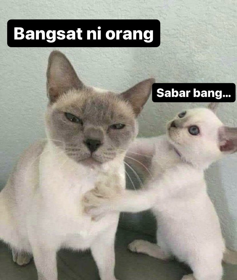nofakefake_'s tweet photo. @tanyarlfes kan job mereka itu melayani masyarakat gimana sihhh? mereka ni pas daftar mikirnya apa anjr??? https://t.co/blUqlg2wZx