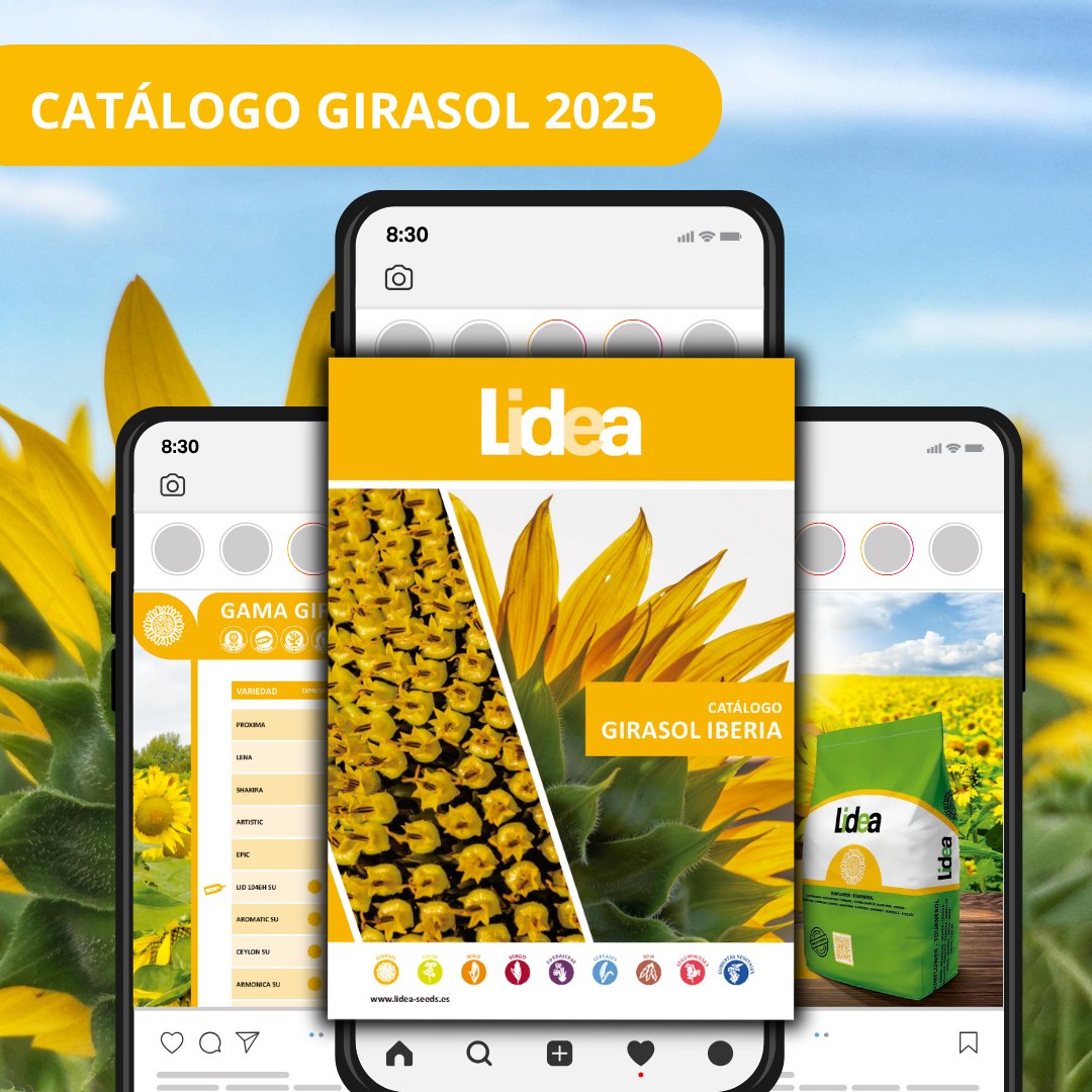 Lidea Seeds España tweet media