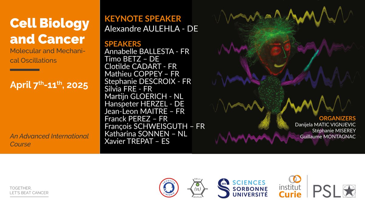 Institut Curie (@institut_curie) on Twitter photo 📣 Registration for the Cell Biology and Cancer, Molecular and Mechanical Oscillations at <a href="/institut_curie/">Institut Curie</a> is open until February 2nd, 2025! Discover full program and register now on: training.institut-curie.org/courses/cell-b… 📣 Registration for the Cell Biology and Cancer, Molecular and Mechanical Oscillations at <a href="/institut_curie/">Institut Curie</a> is open until February 2nd, 2025! Discover full program and register now on: training.institut-curie.org/courses/cell-b…