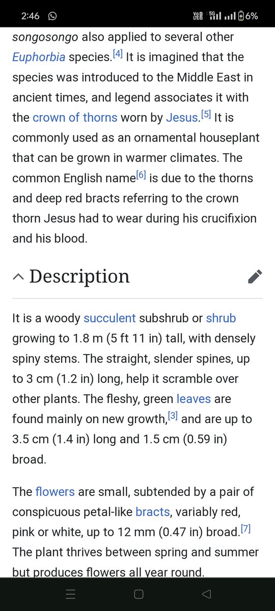 Mayuri D. tweet media