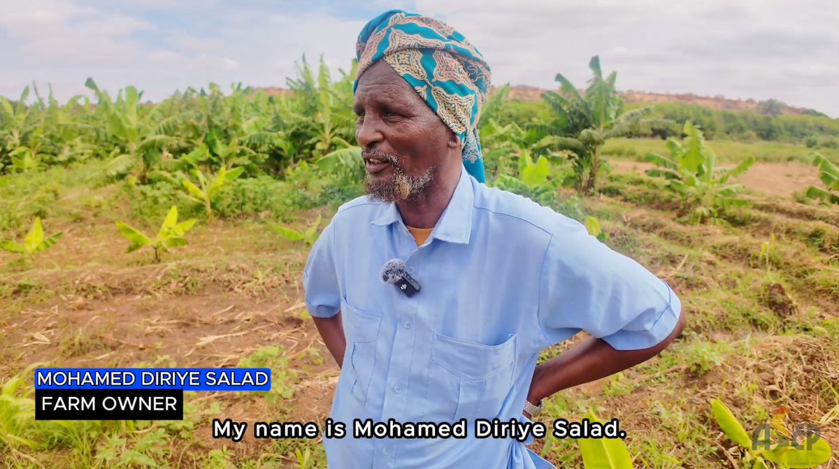 AsepsomaliaOrg's tweet photo. "How can rain, vital for life, become a farmer's challenge? 
In Somalia, floods and droughts destroy crops. ASEP and @archenoVa  help farmers like Mohamed Diriye Salad, who says, 'I saved my crops with solar irrigation and shallow wells.
#ClimateSmartAgriculture #SomaliaFarming" https://t.co/hmN0MiXwSb