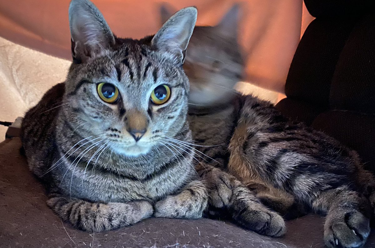 おわかりいただけただろうか