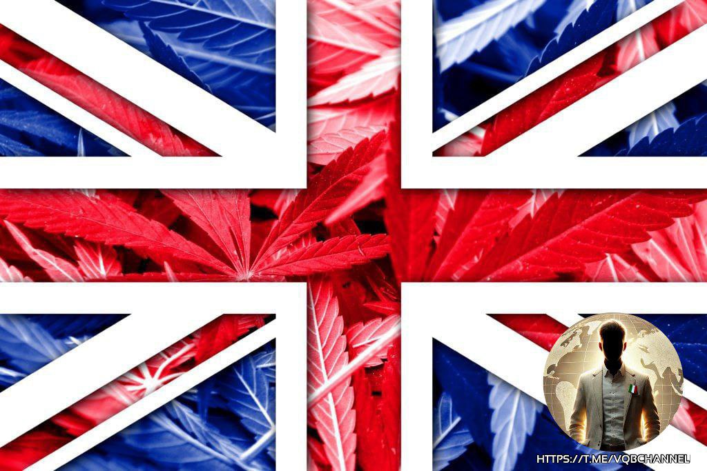 LadyAfro17's tweet photo. 7 gennaio 2025, Regno Unito
IL GOVERNO BRITANNICO HA PUBBLICATO UN VIDEO CHE INVITA ALL'USO DI DROGHE
Il partito #laburista al governo in #Gran_Bretagna ha pubblicato un video sull'account ufficiale TikTok del governo che pubblicizza le riforme del Servizio sanitario nazionale del Paese, accompagnato da una canzone che invita a "dare droga alle ragazze".
Scrive The Telegraph:
"Il Labour è stato criticato per aver creato un video di intelligenza artificiale contenente testi espliciti che incoraggiano gli uomini a drogare le ragazze 'birichine'".
I rappresentanti del partito hanno successivamente cancellato il video e si sono scusati.
Il video è stato pubblicato nel mezzo degli scandali che avvengono in Gran Bretagna.
#7gennaio #UK #RegnoUnito
#ThisIsNotForMe #NotInMyName
#NonInMioNome
https://t.co/mZ7tGK3wAY