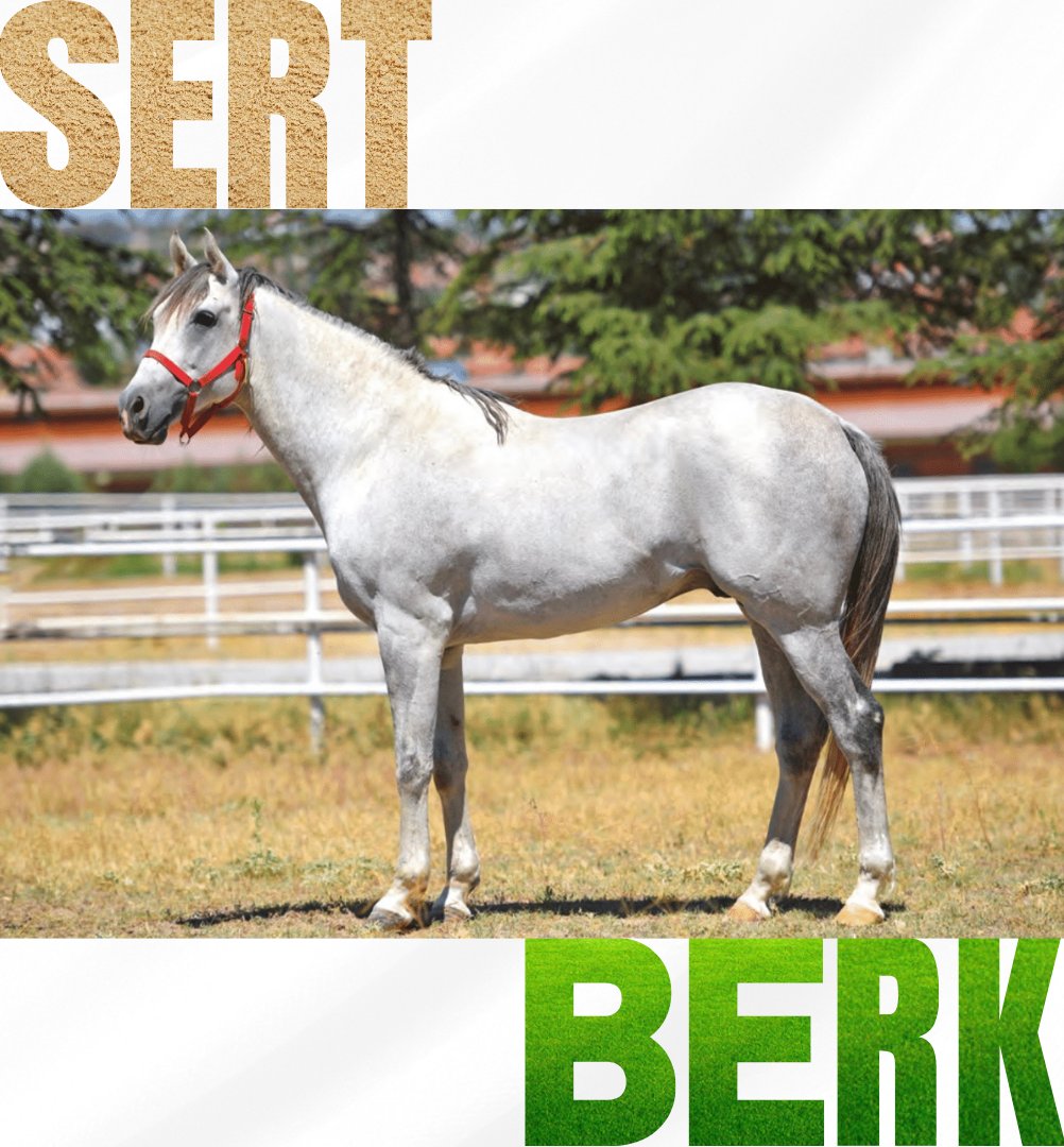 Tüm pist ve mesafelerde başarının anahtarı...🗝️