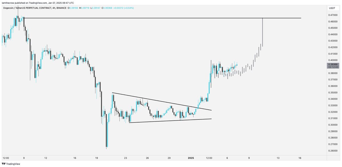 NEVER FADE DOGECOIN

$DOGE