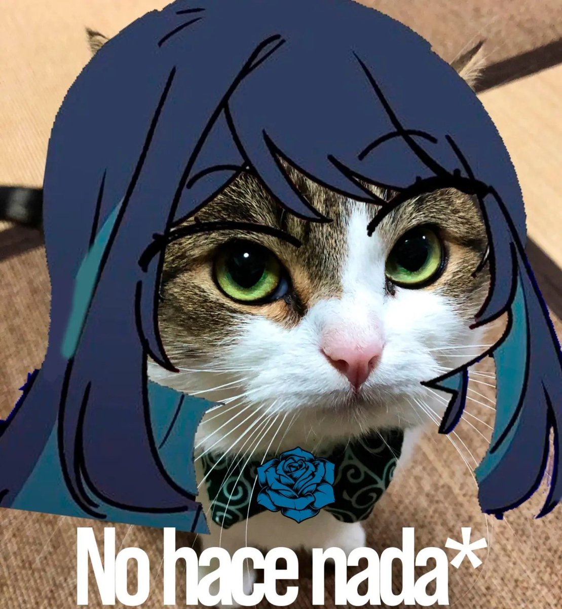 ᅠᅠ #ᅠ𐙚bunny estoy teniendo días movidos con el trabajo 😿 en unos días estaré libre y podré pasarme a interactuar con ustedes. siento estar ausente.