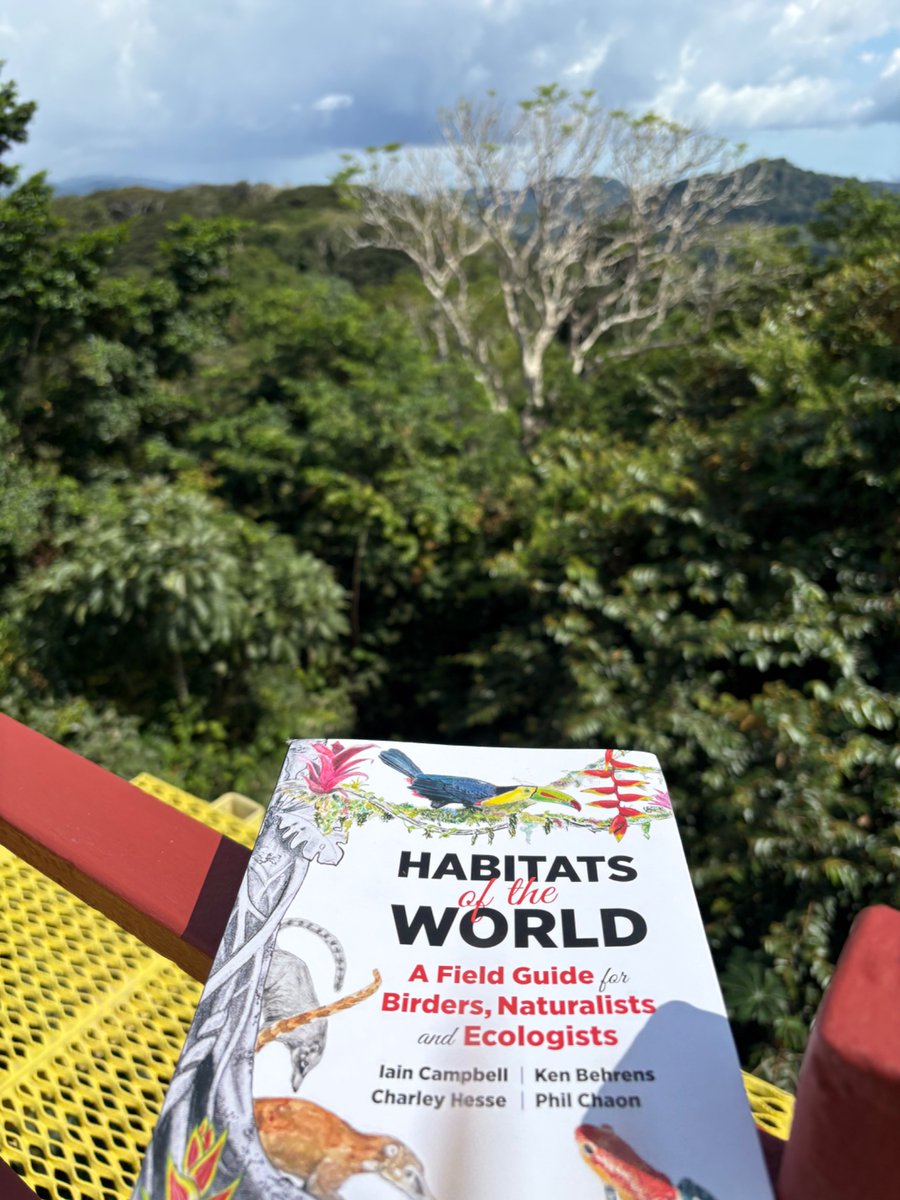 Dominic Couzens (@dominiccouzens) on Twitter photo Yes, I can confirm that this is Neotropical lowland rainforest, thanks to <a href="/PrincetonNature/">Princeton Nature</a> ‘s fabulous habitat book. Highly recommended. <a href="/canopyfamily/">Canopy Family</a> Yes, I can confirm that this is Neotropical lowland rainforest, thanks to <a href="/PrincetonNature/">Princeton Nature</a> ‘s fabulous habitat book. Highly recommended. <a href="/canopyfamily/">Canopy Family</a>