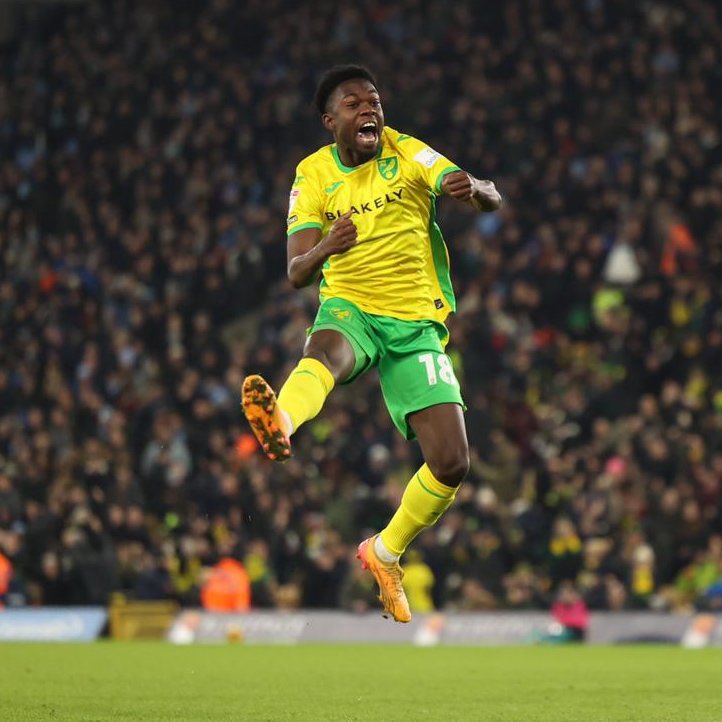 Goals Scored at home in the Championship this season:

1️⃣ Norwich - 31
2️⃣ Leeds - 30
3️⃣ Sunderland - 22
➡️ Sheff Weds - 22
➡️ Coventry - 22

That’s a goal every 37 minutes 😮‍💨

You can talk about results but at least JHT has brought the excitement back to Carrow Road! 

#NCFC