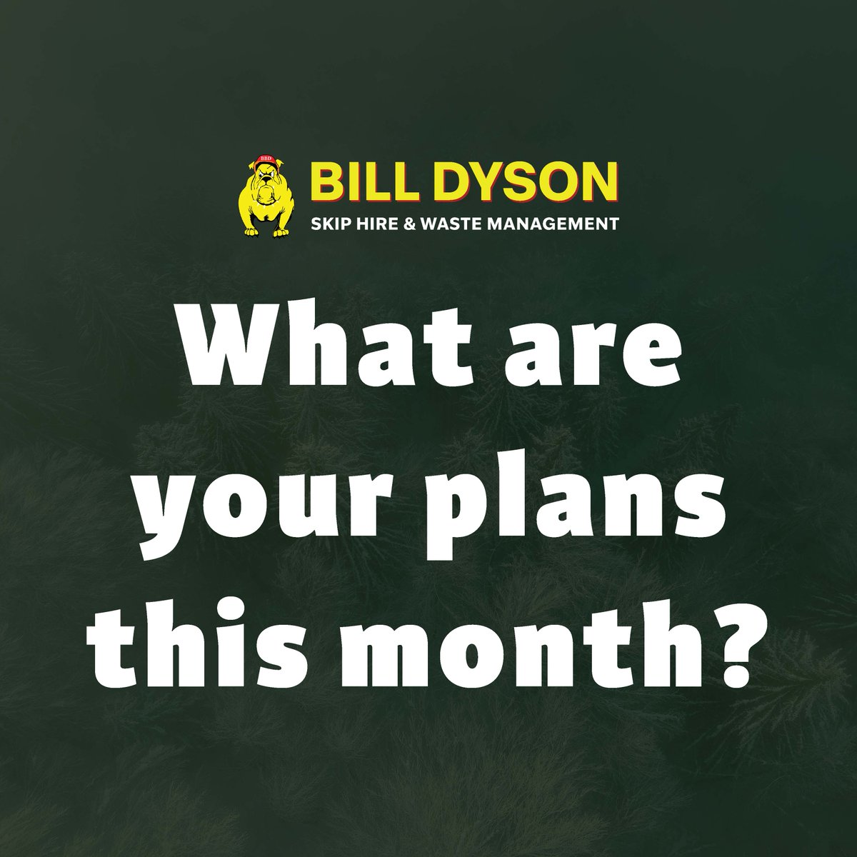 Bill Dyson Skips tweet media