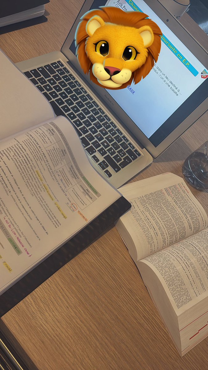 SSFpapaNovember's tweet photo. Vivement la fin.. j-10.. Ça rentre plus 😭🤯📚 #BlocOPJ https://t.co/lHuneEVY7I