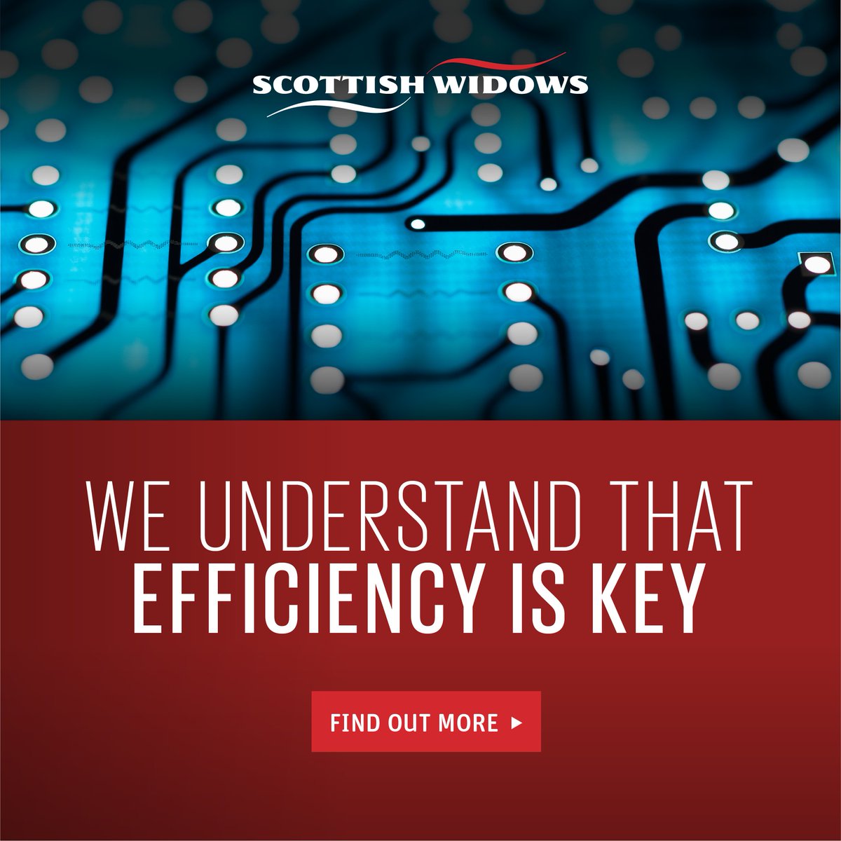 SWidowsAdviser tweet media