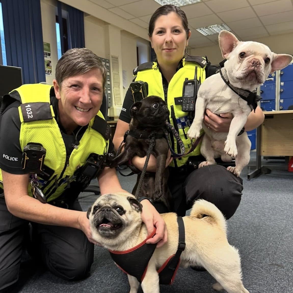 At P3, we understand that pets are like family, and leaving them behind is a genuine fear for some when accessing support...
Whether moving into a pet-friendly or people-only accommodation, we strive to find a solution that works for you, like dog-sitting in P3 Wolverhampton!🐾