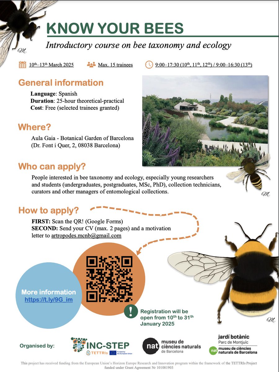 A #training course about #bees organised by
<a href="/INCSTEP_EU/">INC-STEP</a> 🤩 under the #TETTRIsEU project!   
📅 March 
📍 Barcelona 
🐝 Bees 
🇪🇸 Spanish 
⌛ Deadline 31.01  

Get all the info here 👇 tettris.eu/2024/10/25/i...

#Taxonomy