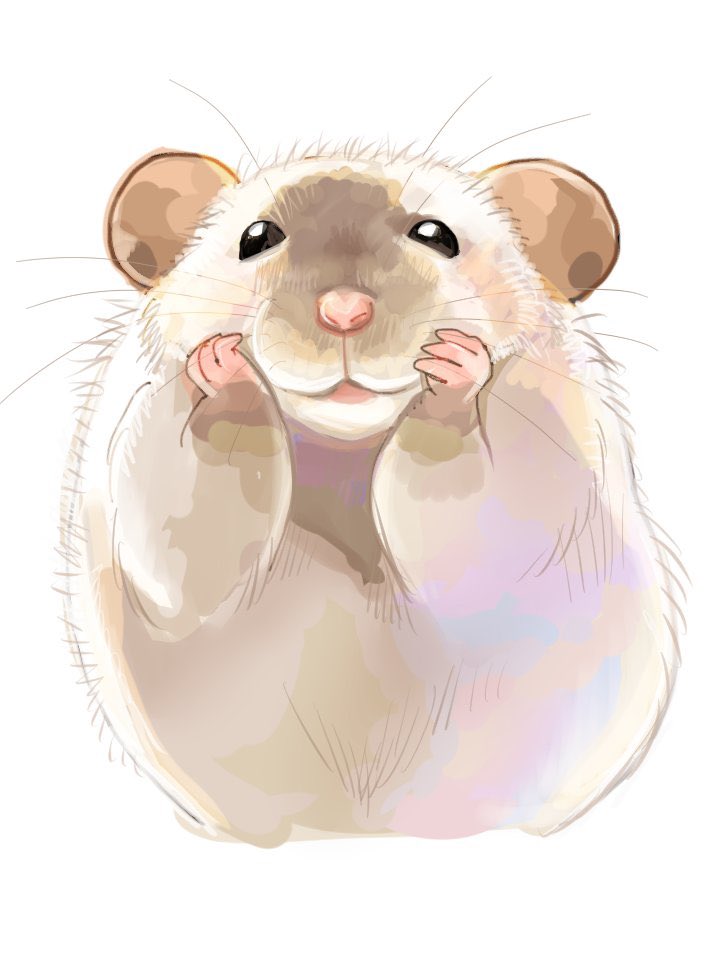 きなこ@針村🦔 tweet media