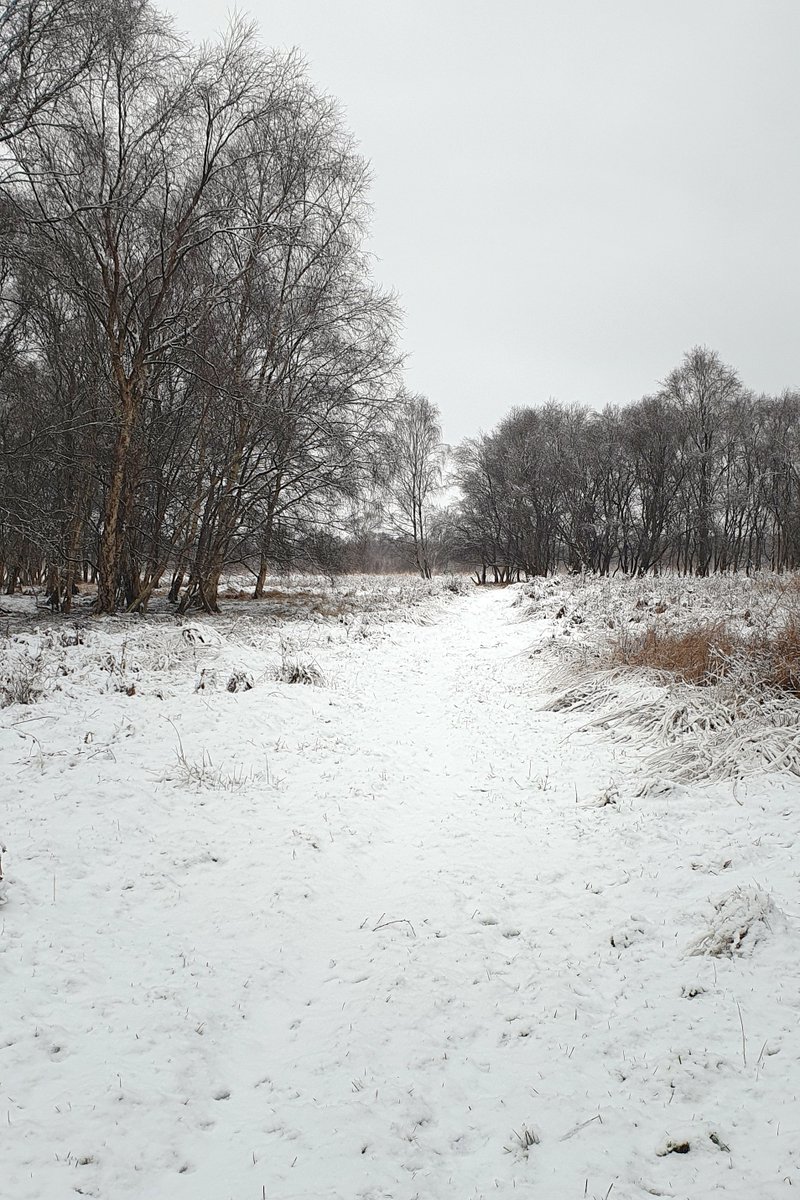 Happy New Year from the Don, Dearne &amp; Rother Network!🥳We hope you enjoyed the festive season and had a relaxing break with Friends and family