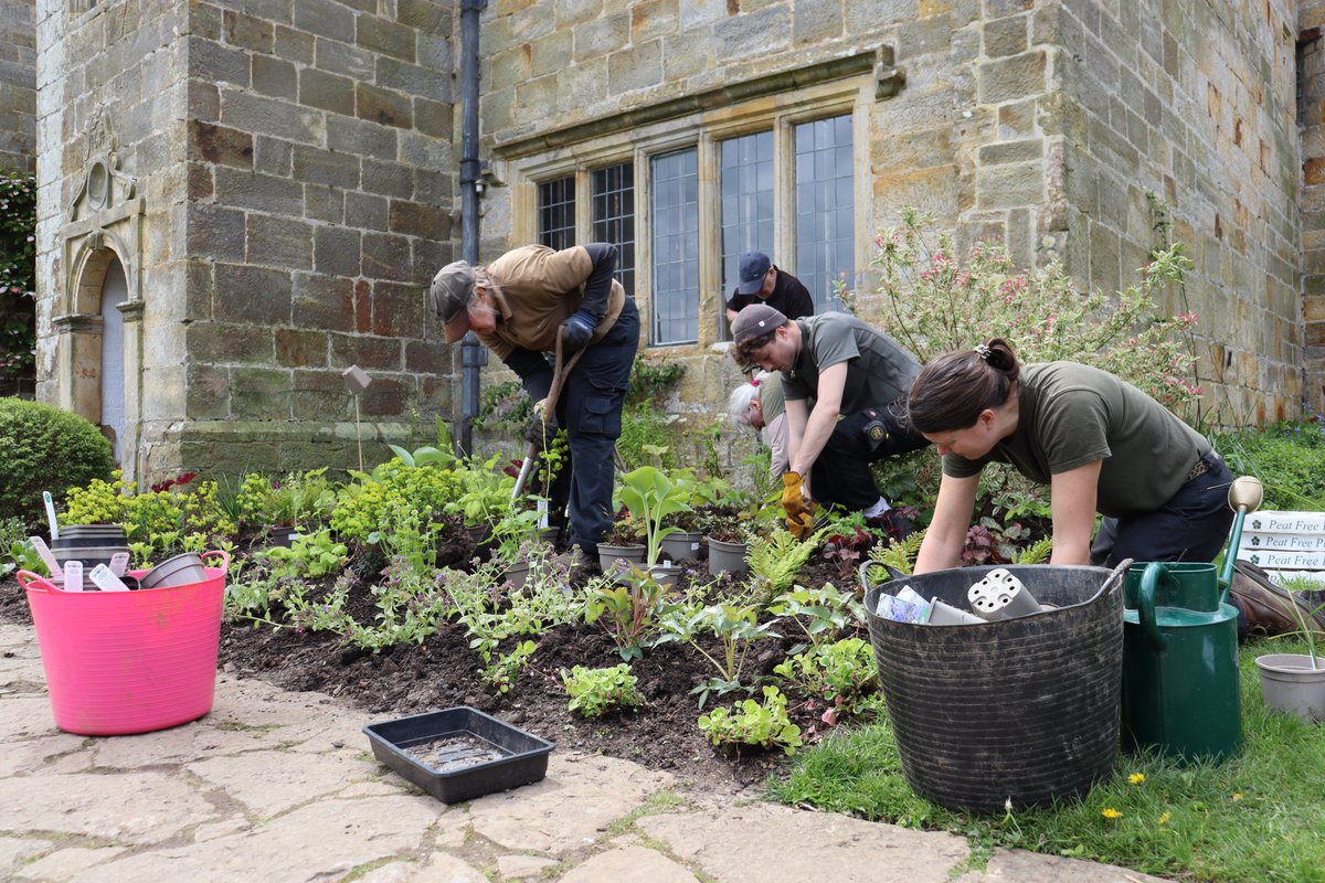 Are you an experienced gardener, now ready to discover a new garden and take on a new challenge? We're looking for a Senior Gardener to join the Bateman's and Bodiam Castle portfolio.

Learn more and apply: bit.ly/407k3R1