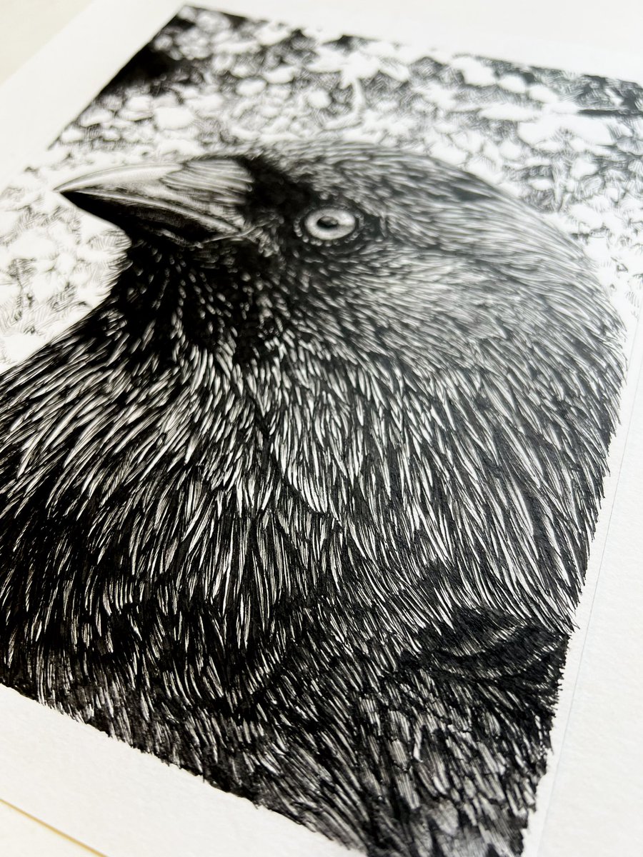 Tekening gemaakt. Het is een kauwtje. 

‘Gedachteloos voor zich uit starend’
29,7 x 21 centimeter
Inkt op papier.

Retweet is lief.