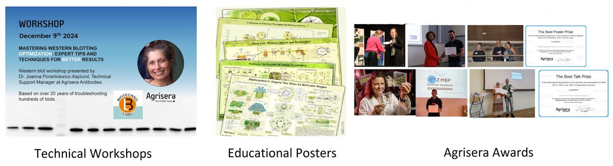 Thank you for a great 2024! We're looking forward to 2025, when we will be celebrating our 40th anniversary, as well as 25 years of catalog plant and algal antibodies.

Read more: eu1.hubs.ly/H0fFcdQ0