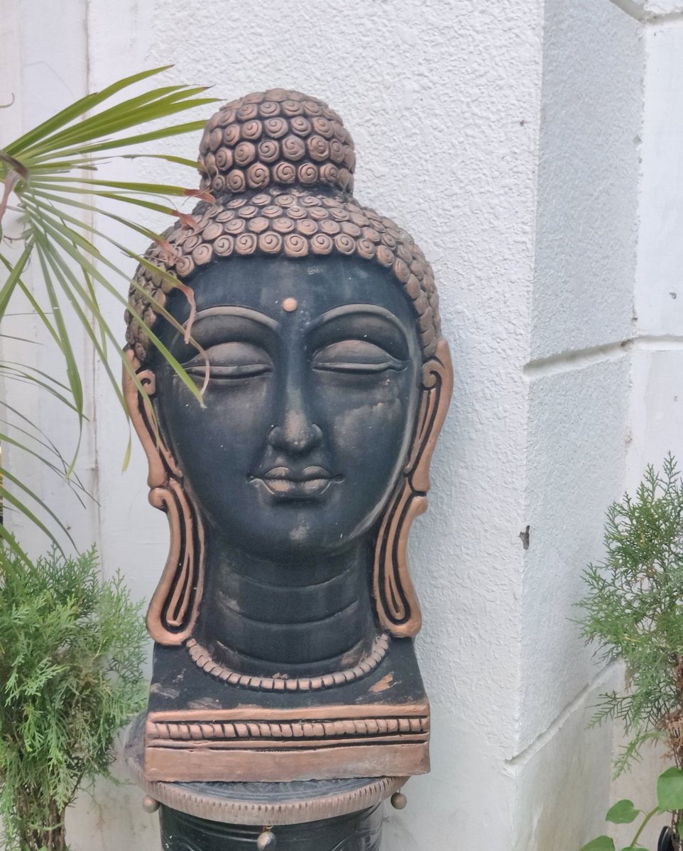 "Conquer anger with non-anger. Conquer badness with goodness."

#ConquerAngerWithLove #GoodnessOverBadness #BuddhaQuotes #BuddhaWisdom #BuddhistTeachings #NonViolence #Compassion #BuddhaStatue #BuddhistArt #Meditation #Mindfulness #Peace #SpiritualAwakening #Enlightenment #Zen