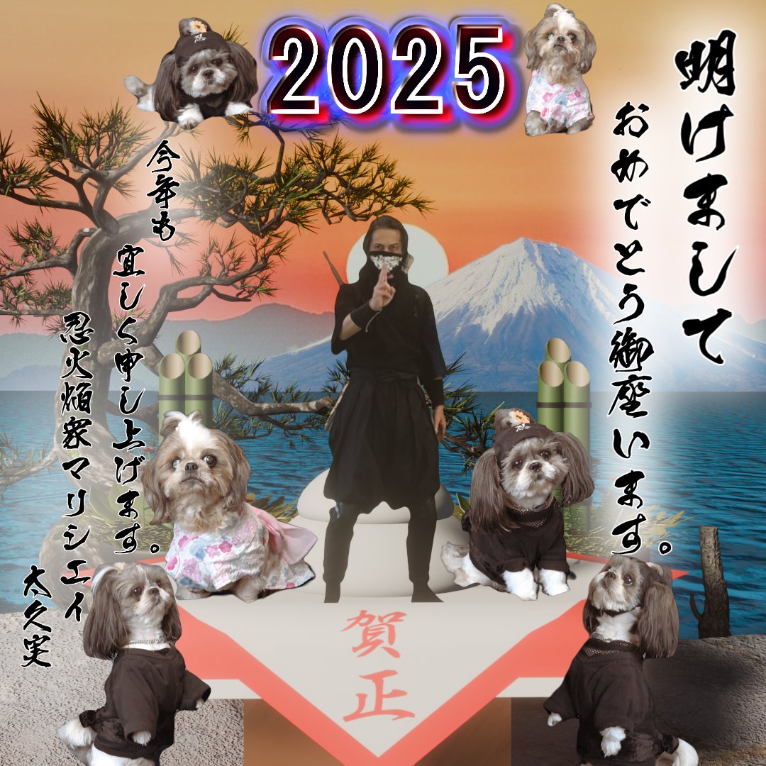 firetakumin's tweet photo. 明けましておめでとう御座います。
今年は原点に帰り我が道を貫き通します。
ただワンコが大好き。

#忍者 #ninja #シーズー #お正月 https://t.co/WXDLFLdu7D