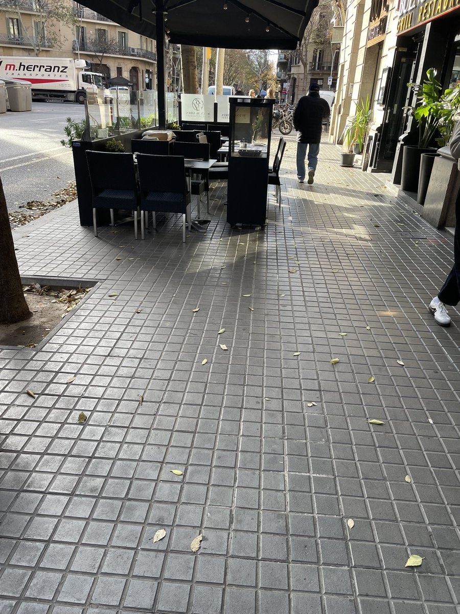 Enric Granados, 7 de gener de 2025. No s’ha tret CAP estufa de butà de les terrasses <a href="/bcn_ajuntament/">Ajuntament de Barcelona</a> . Serveixen d’alguna cosa les ordenances <a href="/RestauracioBCN/">Gremi de Restauració de Barcelona</a> . Seguim amb els
Incompliments com sempre??