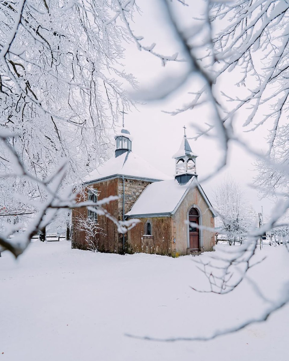 Travel Tomorrow (@traveltomorrowx) on Twitter photo The highest point in Belgium ❄️
📍 Hautes Fagnes, Belgium
📸 <a href="/aries_setya/">Aris Setya</a>
<a href="/wallonia4ever/">WalloniaInBelgium</a> #winter #snow #travel #photography #Belgium #Wallonia The highest point in Belgium ❄️
📍 Hautes Fagnes, Belgium
📸 <a href="/aries_setya/">Aris Setya</a>
<a href="/wallonia4ever/">WalloniaInBelgium</a> #winter #snow #travel #photography #Belgium #Wallonia